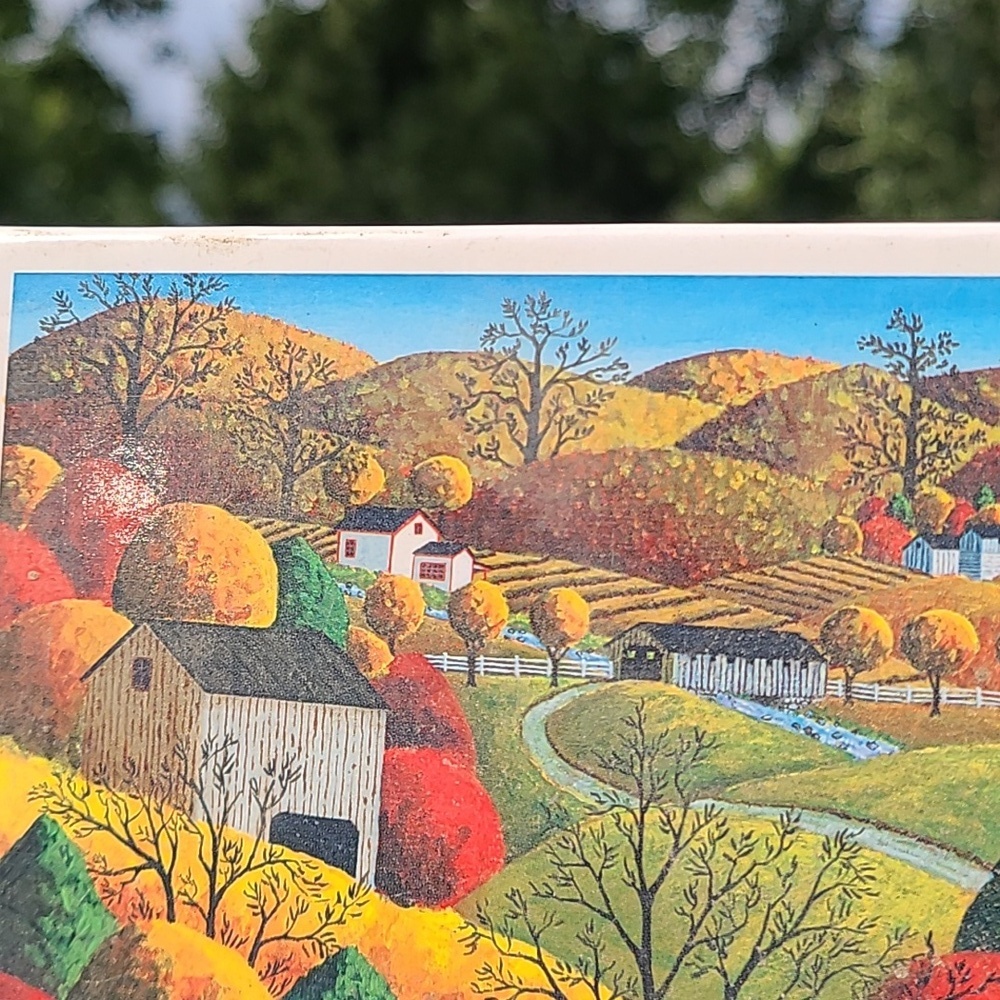 MasterPieces Town & Country Puzzle Autumn Morning Art Poulin 300 Pieces EZ Grip - Picture 10 of 11